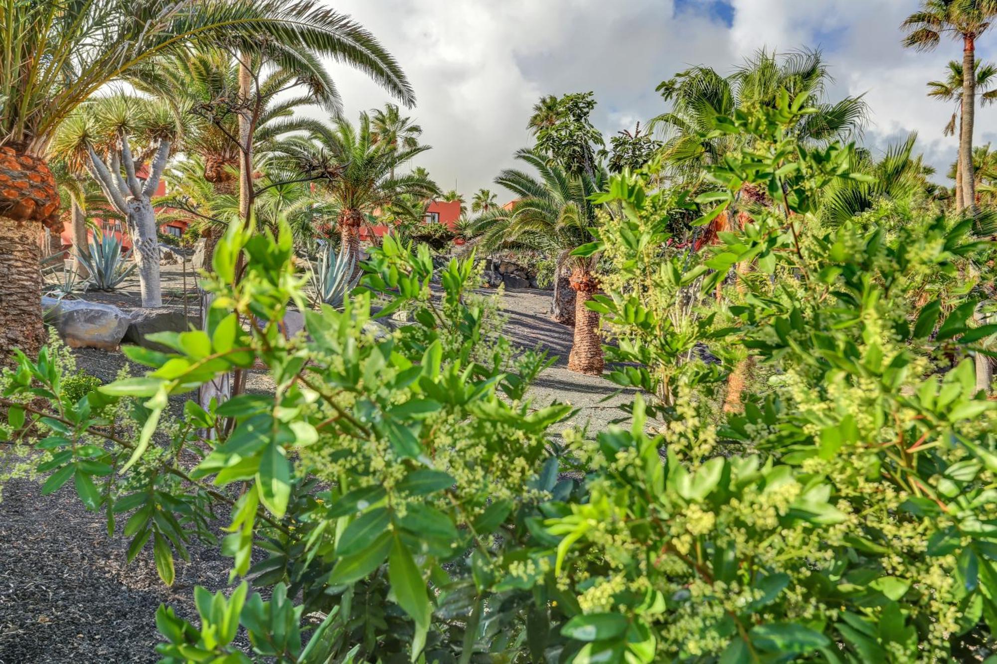 Ferienwohnung Oasis Royal Corralejo Exterior foto