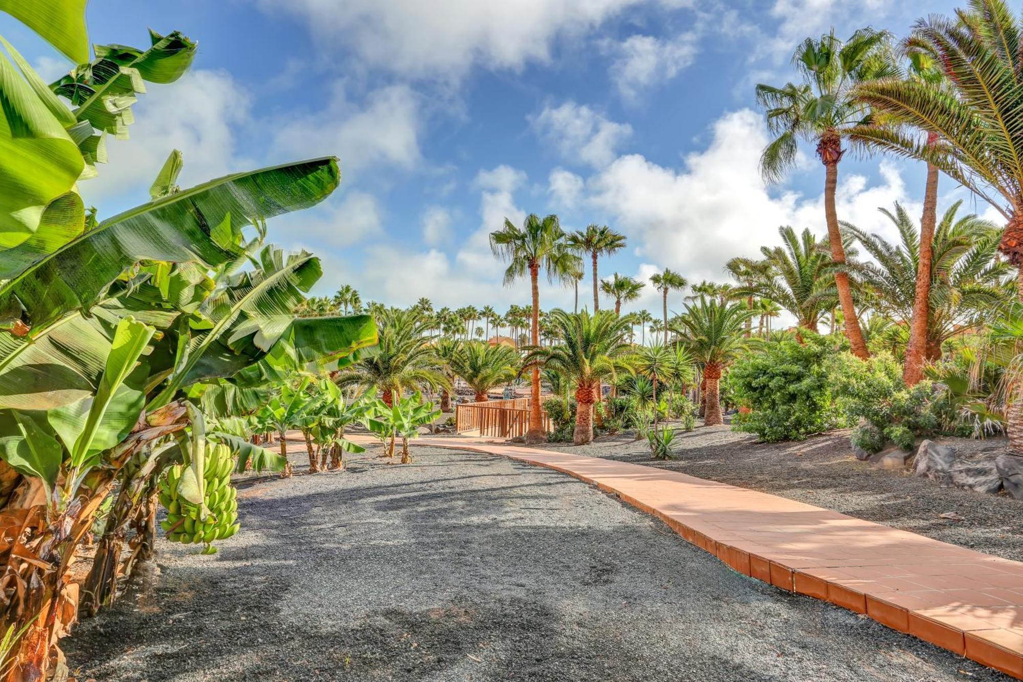 Ferienwohnung Oasis Royal Corralejo Exterior foto